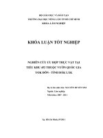  NGHIÊN CỨU ƯU HỢP THỰC VẬT TẠI TIỂU KHU 452 THUỘC VƯỜN QUỐC GIA  YOK ĐÔN  TỈNH ĐĂK LĂK  