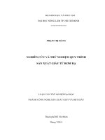 NGHIÊN CỨ VÀ THỬ NGHIỆM CHƯƠNG TRÌNH SẢN XUẤT GIẤY TỪ RƠM VÀ RẠ