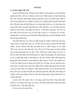 Nghiên cứu cấu trúc, phân loại và một số tính chất quang của bán dẫn chấm lượng tử 