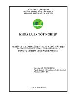 NGHIÊN CỨU, ĐÁNH GIÁ HIỆN TRẠNG VÀ ĐỀ XUẤT BIỆN PHÁP KIỂM SOÁT Ô NHIỄM MÔI TRƢỜNG TẠI     CÔNG TY CỔ PHẦN CÔNG NGHIỆP MASAN 