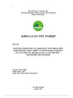 SO SÁNH ẢNH HƯỞNG CỦA KHOẢNG CÁCH TRỒNG ĐẾN SINH TRƯỞNG, PHÁT TRIỂN VÀ HÀM LƯỢNG TINH DẦU  CỦA CÂY BẠC HÀ (Mentha arvensis L.) TẠI THỦ ĐỨC – THÀNH PHỐ  HỒ CHÍ MINH    