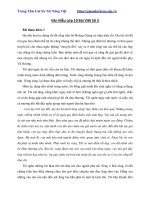 Bài viết số 3 lớp 10 