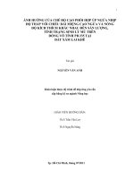 ẢNH HƯỞNG CỦA CHẾ ĐỘ CẠO PHỐI HỢP ÚP NGỬA NHỊP ĐỘ THẤP VỚI CHIỀU DÀI MIỆNG CẠO NGỬA VÀ NỒNG   ĐỘ KÍCH THÍCH KHÁC NHAU ĐẾN SẢN LƯỢNG,  TÌNH TRẠNG SINH LÝ MỦ TRÊN   DÒNG VÔ TÍNH PB 235 TẠI  ĐẤT XÁM LAI KHÊ 