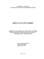   NGHIÊN CỨU  ĐẶC ĐIỂM CẤU TRÚC RỪNG TỰ NHIÊN TRẠNG THÁI IIIA  TẠI RỪNG ĐẶC DỤNG ĐẮC UY HUYỆN ĐẮC HÀ  TỈNH KON TUM    2  