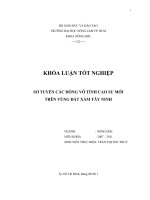 SƠ TUYỂN CÁC DÒNG VÔ TÍNH CAO SU MỚI TRÊN VÙNG ĐẤT XÁM TÂY NINH 