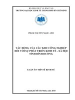 Tác động của các khu công nghiệp đối với sự phát triển kinh tế   xã hội tỉnh bình dương ( Luận án tiến sĩ)
