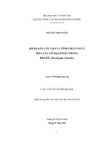      KHẢO SÁT CẤU TẠO VÀ TÍNH CHẤT CƠ LÝ HÓA CỦA GỖ BẠCH ĐÀN TRẮNG  BRAZIL (Eucalyptus Grandis)      