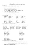 Tài liệu môn hóa lớp 9   ôn tập hóa lớp 9 học kỳ 1 
