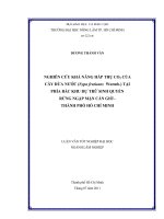 NGHIÊN CỨU KHẢ NĂNG HẤP THỤ CO  CỦA CÂY DỪA NƯỚC (Nypa fruticans  Wurmb.) TẠI   PHÍA BẮC KHU DỰ TRỮ SINH QUYỂN  RỪNG NGẬP MẶN CẦN GIỜ    THÀNH PHỐ HỐ CHÍ MINH   2