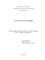     ĐIỀU TRA HIỆN TRẠNG SẢN XUẤT LÚA Ở HUYỆN CHÂU ĐỨC  TỈNH BÀ RỊA VŨNG TÀU 