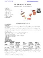 Tài liệu môn sinh lớp 10 đề cương ôn tập học sinh giỏi môn sinh 