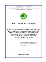   NGHIÊN CỨU MỘT SỐ ĐẶC ĐIỂM SINH HỌC CỦA BỌ RÙA ĂN MỒI Cheilomenes sexmaculatus F. ĐỂ  THIẾT KẾ MỘT DỰ ÁN DẠY HỌC CHO MÔN  CÔNG NGHỆ 10 CỦA HỌC SINH TRƯỜNG   NGUYỄN HỮU HUÂN, QUẬN THỦ ĐỨC,  THÀNH PHỐ HỒ CHÍ MINH    