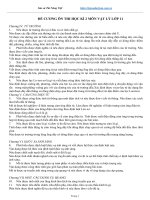 Đề cương ôn tập học kì 2 môn vật lý lớp 11 