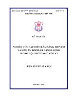 Nghiên cứu đặc điểm lâm sàng, điện cơ và siêu âm doppler năng lượng trong hội chứng ống cổ tay ( Luận án tiến sĩ)