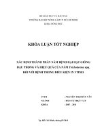 XÁC ĐỊNH THÀNH PHẦN NẤM BỆNH HẠI HẠT GIỐNG ĐẬU PHỘNG VÀ HIỆU QUẢ CỦA NẤM Trichoderma spp.  ĐỐI VỚI BỆNH TRONG ĐIỀU KIỆN IN VITRO  