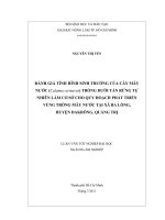      KHẢO SÁT CẤU TẠO VÀ TÍNH CHẤT CƠ LÝ HÓA CỦA GỖ BẠCH ĐÀN TRẮNG  BRAZIL (Eucalyptus Grandis)      