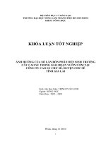   ẢNH HƯỞNG CỦA SỐ LẦN BÓN PHÂN ĐẾN SINH TRƯỞNG CÂY CAO SU TRONG GIAI ĐOẠN VƯỜN ƯƠM TẠI   CÔNG TY CAO SU CHƯ SÊ, HUYỆN CHƯ SÊ TỈNH GIA LAI    
