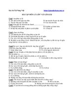 Bài tập môn lý lớp 7 có lời giải 