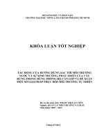   TÁC ĐỘNG CỦA ĐƯỜNG RỪNG SÁC TỚI MÔI TRƯỜNG NƯỚC VÀ SỰ SINH TRƯỞNG, PHÁT TRIỂN CỦA CÂY  RỪNG TRONG RỪNG PHÒNG HỘ CẦN GIỜ VÀ ĐỀ XUẤT MỘT SỐ GIẢI PHÁP PHỤC HỒI MÔI TRƯỜNG TỰ NHIÊN   