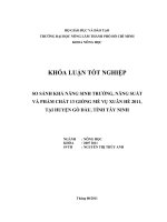 SO SÁNH KHẢ NĂNG SINH TRƯỞNG, NĂNG SUẤT VÀ PHẨM CHẤT 13 GIỐNG MÈ VỤ XUÂN HÈ 2011,  TẠI HUYỆN GÒ DẦU, TỈNH TÂY NINH  