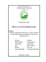 Tìm hiểu các hình thức hoạt động của công ty TNHH TM  NN Anh Khôi tại thị trấn Chùa Hang, huyện Đồng Hỷ, tỉnh Thái Nguyên (Khóa luận tốt nghiệp)