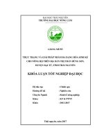 Thực trạng và giải pháp nhằm đa dạng hóa sinh kế cho nông hộ trên địa bàn thị trấn Hùng Sơn, huyện Đại Từ, tỉnh Thái Nguyên (Khóa luận tốt nghiệp)