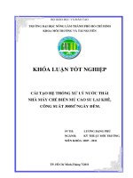 CẢI TẠO HỆ THỐNG XỬ LÝ NƯỚC THẢI  NHÀ MÁY CHẾ BIẾN MỦ CAO SU LAI KHÊ,   CÔNG SUẤT 300M 3 NGÀY ĐÊM. 