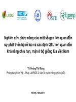 Nghiên cứu chức năng của một số gen liên quan đến sự phát triển bộ rễ lúa và xác định QTL liên quan đến khả năng chịu hạn, mặn ở bộ giống lúa Việt Nam