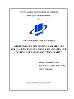ẢNH HƯỞNG CỦAMÔI TRƯỜNG làm VIỆC ĐẾNKẾT QUẢLÀM VIỆC của NHÂN VIÊN  NGHIÊN cứu TRƯỜNG hợp tại sân BAY tân sơn NHẤT