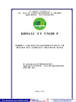 NGHIÊN CỨU, ĐỀ XUẤT CÁC GIẢI PHÁP SẢN XUẤT SẠCH HƠN ÁP DỤNG TẠI CÔNG TY CỔ PHẦN SƠN ĐỒNG NAI
