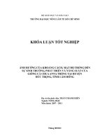  ẢNH HƯỞNG CỦA KHOẢNG CÁCH, MẬT ĐỘ TRỒNG ĐẾN   SỰ SINH TRƯỞNG, PHÁT TRIỂN VÀ NĂNG SUẤT CỦA GIỐNG CÀ CHUA ANNA TRỒNG TẠI HUYỆN  ĐỨC TRỌNG, TỈNH LÂM ĐỒNG   