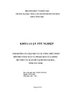 ẢNH HƯỞNG CỦA MẬT ĐỘ VÀ CÁC CÔNG THỨC PHÂN BÓN ĐẾN NĂNG SUẤT VÀ PHẨM CHẤT CỦA GIỐNG  MÈ VDM 3 VỤ XUÂN HÈ TẠI HUYỆN GÒ DẦU, TỈNH TÂY NINH 