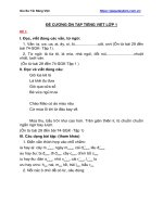 Đề cương ôn tập tiếng việt lớp 1 