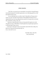 Hoàn thiện hoạch định chiến lược kinh doanh của công ty TNHH bình an sinh 