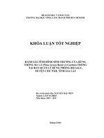   ĐÁNH GIÁ TÌNH HÌNH SINH TRƯỞNG CỦA RỪNG THÔNG BA LÁ (Pinus kesiya Royle ex Gordon) TRỒNG   TẠI BAN QUẢN LÝ RỪNG PHÒNG HỘ IALY, HUYỆN CHƯ PĂH, TỈNH GIA LAI    