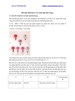 Tài liệu môn sinh lớp 9 bài tập lai một cặp tính trạng 