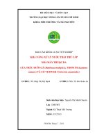 KHẢ NĂNG XỬ LÝ NƯỚC THẢI THỨ CẤP NHÀ MÁY THUỘC DA  CỦA TRÚC ĐUÔI GÀ (Bambusa multiplex), THƠM ỔI (Lantana camara) VÀ CỎ VETIVER (Vetiverria zizanioides)   