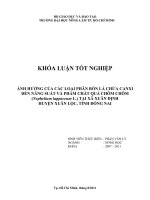 ẢNH HƯỞNG CỦA CÁC LOẠI PHÂN BÓN LÁ CHỨA CANXI ĐẾN NĂNG SUẤT VÀ PHẨM CHẤT QUẢ CHÔM CHÔM  (Nephelium lappaceum L.) TẠI XÃ XUÂN ĐỊNH HUYỆN XUÂN LỘC, TỈNH ĐỒNG NAI   