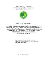  TÌM HIỂU TÌNH HÌNH GÂY HẠI VÀ XÁC ĐỊNH HIỆU LỰC  CỦA MỘT SỐ LOẠI THUỐC HÓA HỌC ĐỐI VỚI RỆP SÁP    TRÊN CÂY CÀ PHÊ ROBUSTA Ở HUYỆN KRÔNG NĂNG,  TỈNH ĐẮK LẮK, ỨNG DỤNG XÂY DỰNG BÀI GIẢNG  VỀ THUỐC BẢO VỆ THỰC VẬT CHO   MÔN CÔNG NGHỆ 10  