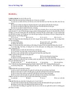 Đề thi kiểm tra học kỳ 2 môn sinh lớp 12 