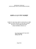  NGHIÊN CỨU MỘT SỐ ĐẶC ĐIỂM CẤU TRÚC RỪNG TỰ NHIÊN   TẠI TIỂU KHU 978 THUỘC  BAN QUẢN LÝ RỪNG PHÒNG HỘ IAMEUR,  HỖN LOÀI TRẠNG THÁI IIIA 2 HUYỆN CHƯPRÔNG, TỈNH GIA LAI   