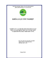   NGHIÊN CỨU VAI TRÒ HỆ SINH THÁI RỪNG NGẬP  MẶN CẦN GIỜ TRONG VIỆC XỬ LÝ NƯỚC THẢI   VÀ ĐỊNH HƯỚNG PHÁT TRIỂN BỀN VỮNG   