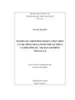  TÌM HIỂU QUÁ TRÌNH HÌNH THÀNH VÀ PHÁT TRIỂN  CỦA HỆ THỐNG NÔNG LÂM KẾT HỢP TẠI THÔN 6 VÀ THÔN ĐÔNG HÀ  THỊ TRẤN CHƯPRÔNG  TỈNH GIA LAI    
