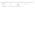 2H1 1 3 1c23 56 thanhmien lan1 tuanpham (1)   copy 