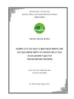    NGHIÊN CỨU SÂU HẠI VÀ BIỆN PHÁP PHÒNG TRỪ SÂU HẠI CHÍNH TRÊN CÂY MUỒNG HOA VÀNG  (Cassia splendida Vogel.) TẠI THÀNH PHỐ HỒ CHÍ MINH     