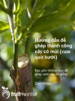 Hướng-dẫn-đễ-ghép-thành-công-cây-có-múi
