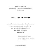    ĐÁNH GIÁ TÌNH HÌNH SINH TRƯỞNG CỦA RỪNG THÔNG BA LÁ (Pinus kesiya Royle ex Gordon) TRỒNG TẠI  LÂM TRƯỜNG MĂNG CÀNH I, CÔNG TY LÂM NGHIỆP KONPLÔNG,  TỈNH KON TUM 