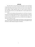 báo cáo kiến tập tại bảo tàng dân tộc học việt nam