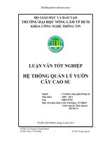 HỆ THỐNG QUẢN LÝ VƯỜN CÂY CAO SU   