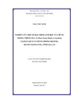   NGHIÊN CỨU HÌNH THÁI VÀ GIẢI PHẪU LÁ CỦA MỘT SỐ LOÀI THUỘC HỌ ĐƯỚC (Rhizophoraceae) TẠI   KHU DỰ TRỮ SINH QUYỂN CẦN GIỜ THÀNH PHỐ HỒ CHÍ MINH   